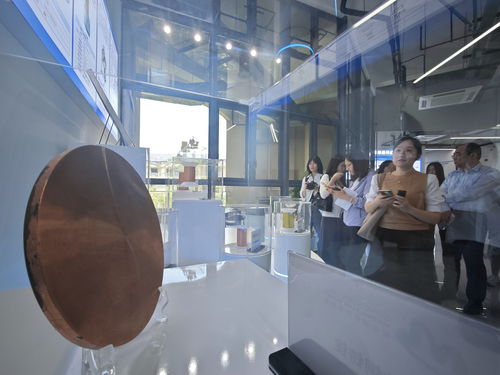 從實(shí)驗(yàn)室樣品到市場爆品 松山湖材料實(shí)驗(yàn)室如何“孵化”35家產(chǎn)業(yè)化公司